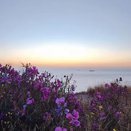 Fenetre Sur Maison Vue Splendide Équihen-Plage